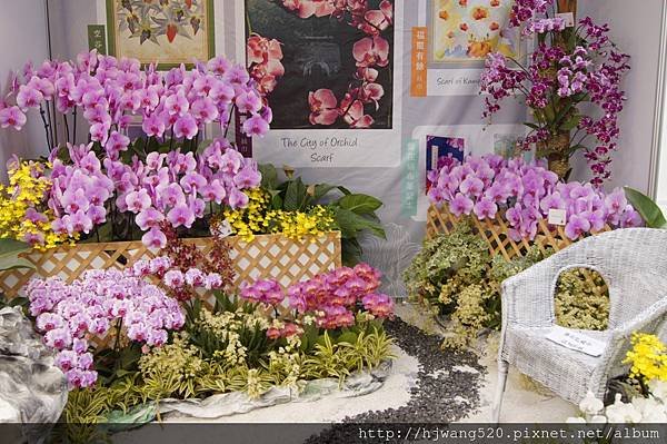 2017台灣蘭展