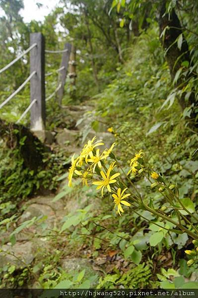青山瀑布
