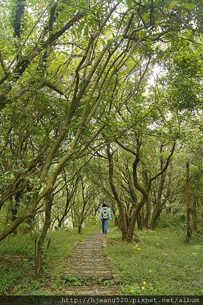 青山瀑布
