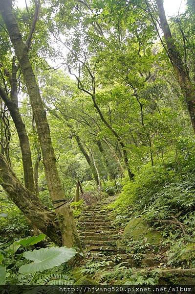 青山瀑布