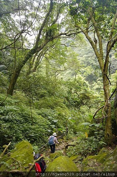青山瀑布
