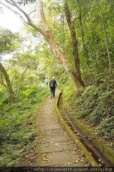 青山瀑布