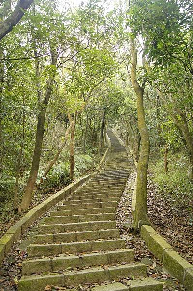 大崙尾山