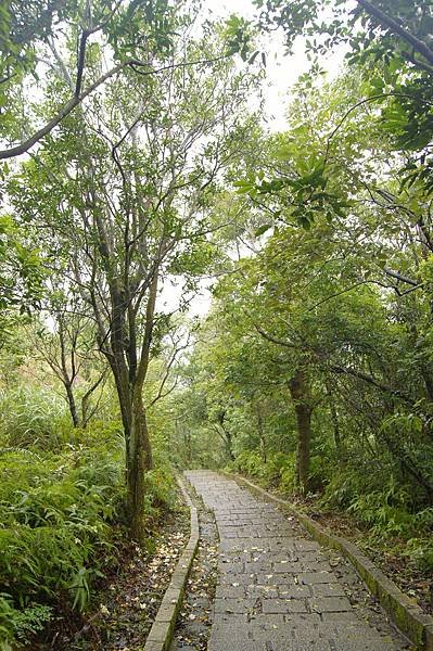 大崙尾山