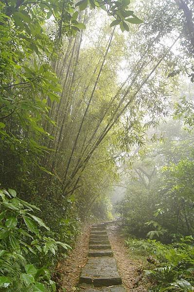 大崙尾山