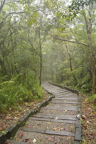 大崙頭山