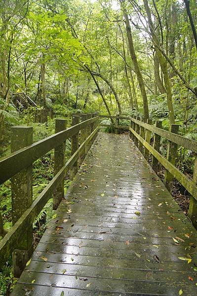 翠山步道