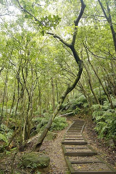 翠山步道