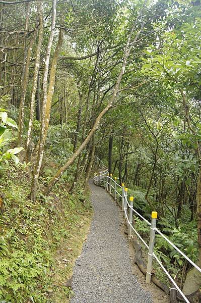 翠山步道