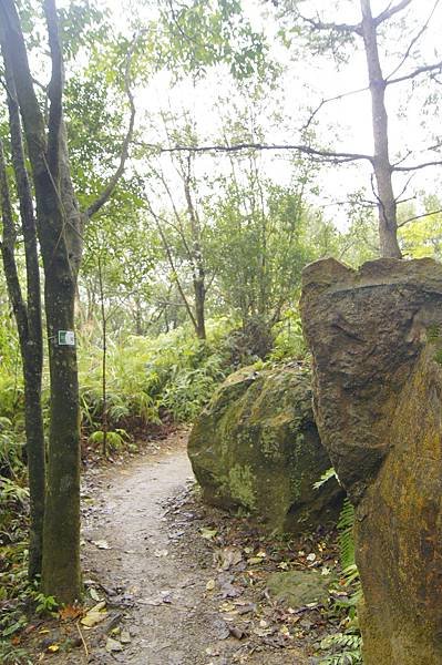 翠山步道