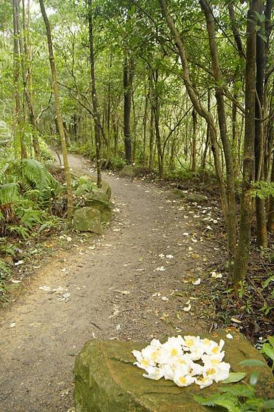 翠山步道