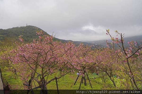 平菁街42巷