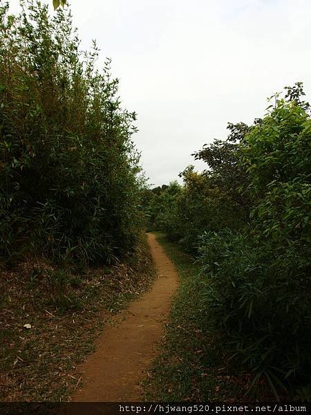 鶯歌石步道