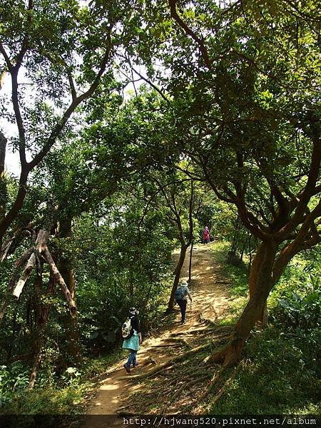 光明山稜線步道