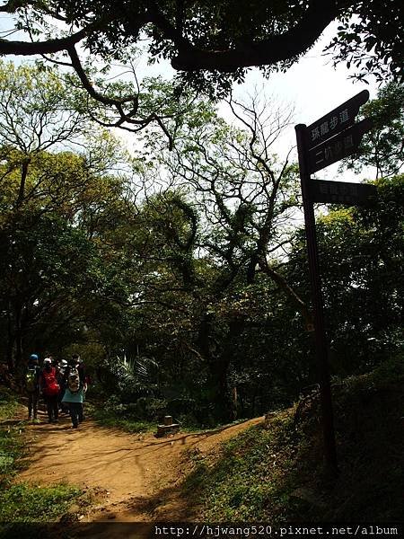 光明山稜線步道