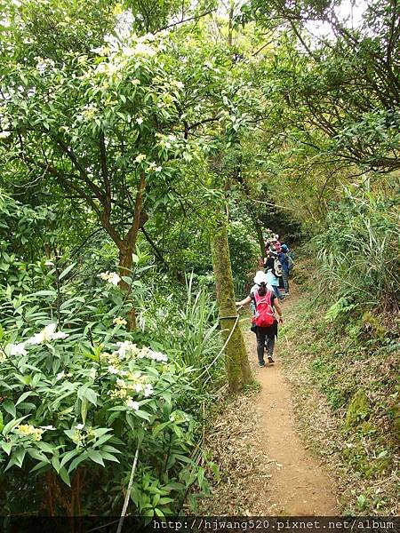 光明山稜線步道