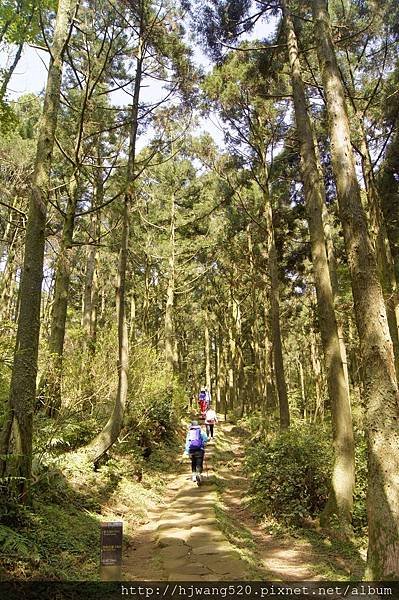 頂山步道