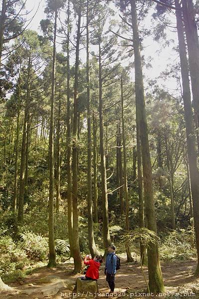 頂山步道