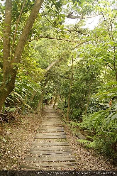 學頭坡山