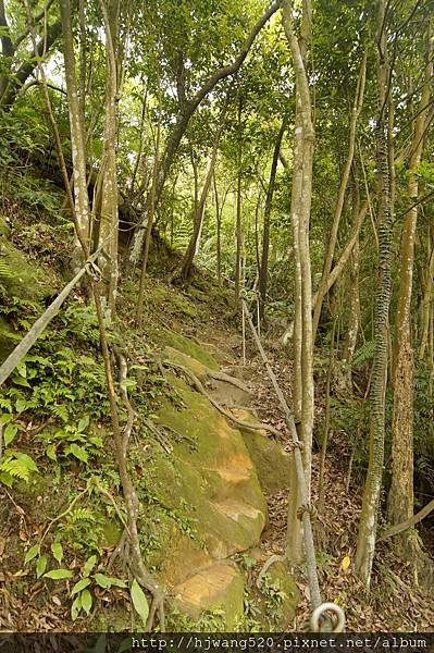 學頭坡山