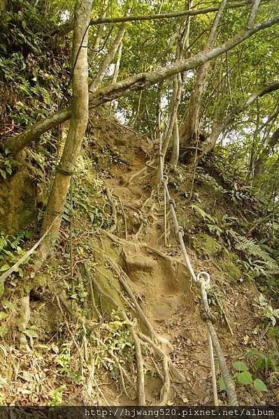 學頭坡山