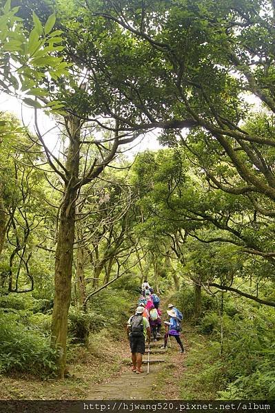 面天山