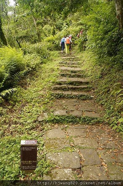 面天山