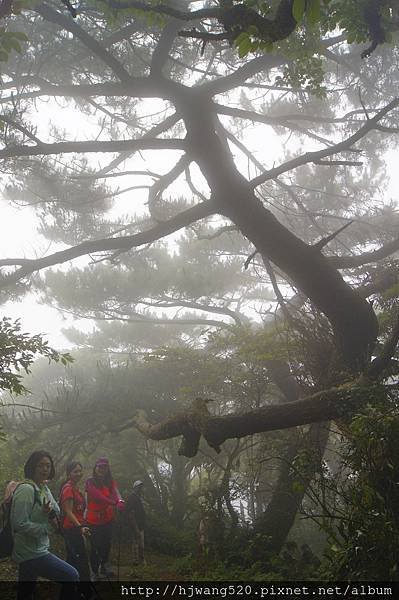 面天山