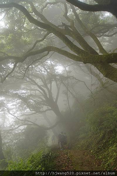 向天山