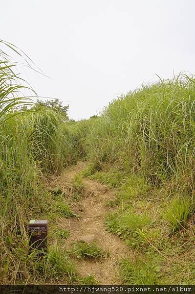 大屯山西峰