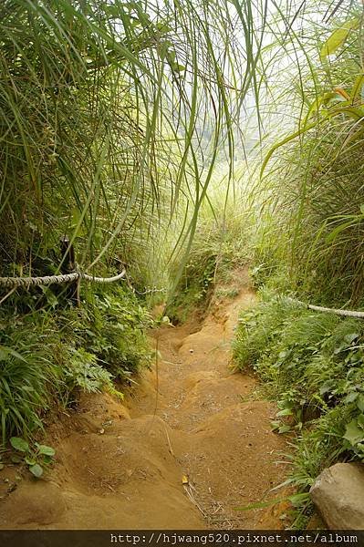 大屯山西峰