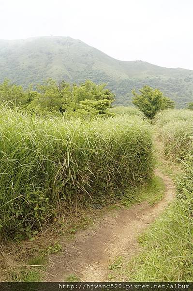 大屯山南峰