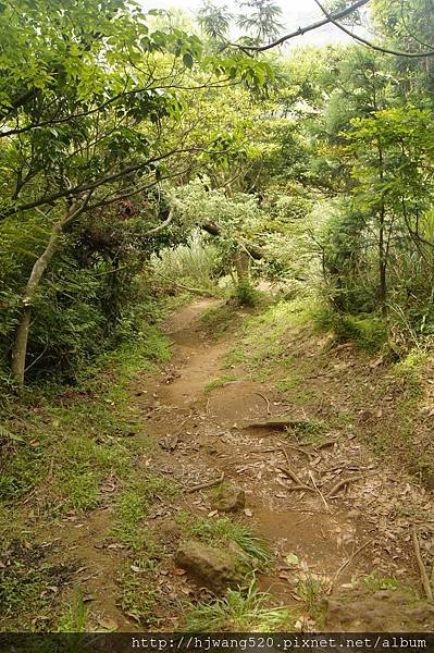 大屯山南峰