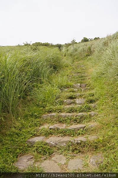 大屯山主峰