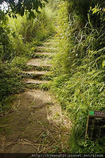 大屯山主峰