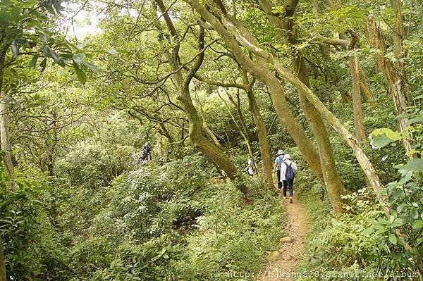 楊梅福山步道