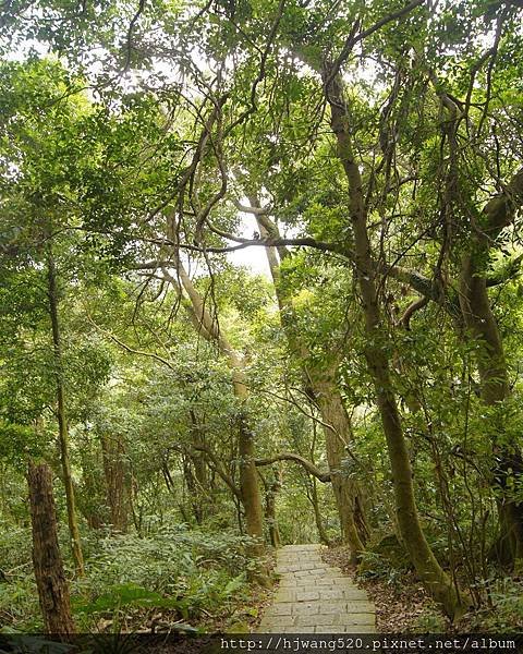 翠峰瀑布