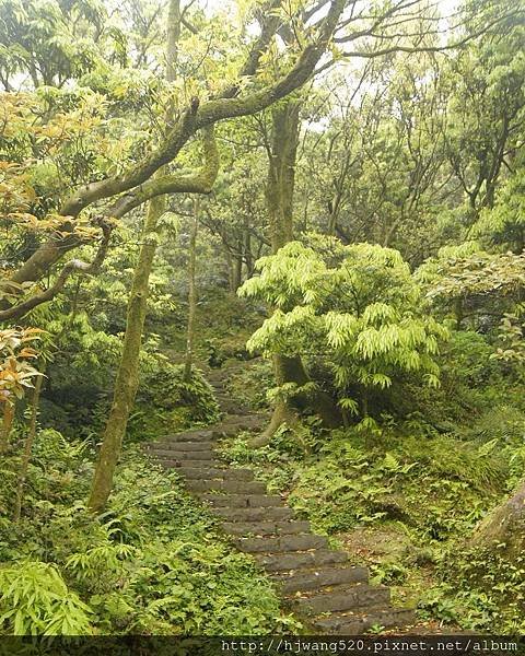 七星山東峰