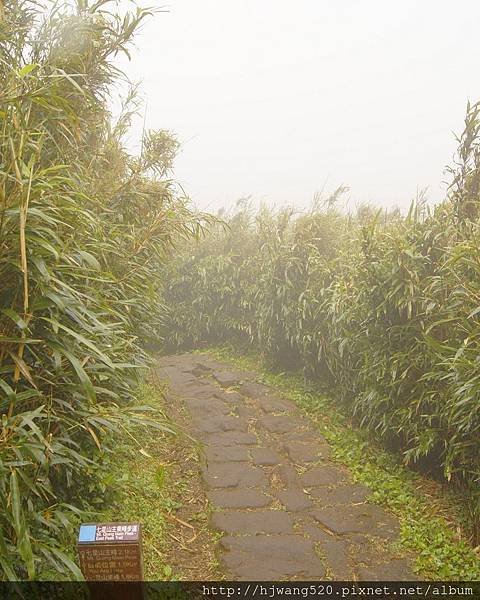 七星山東峰