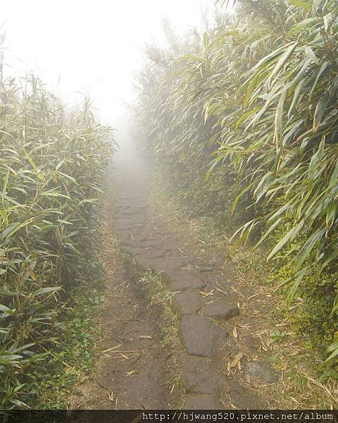 七星山主峰