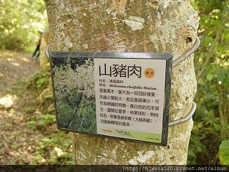 牛港稜山