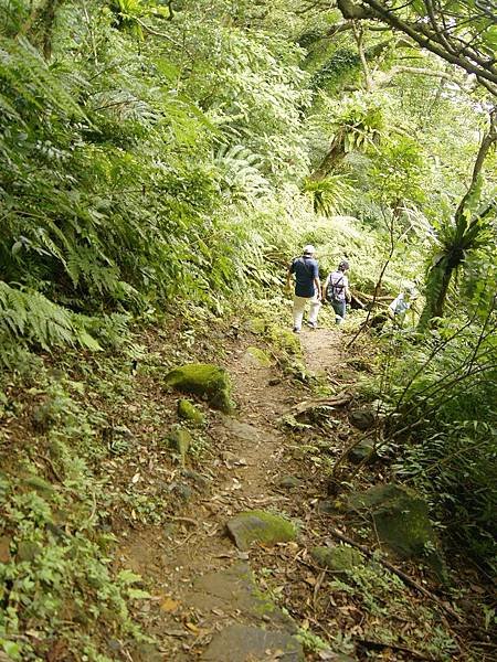 猴山岳