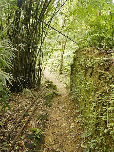 猴山岳