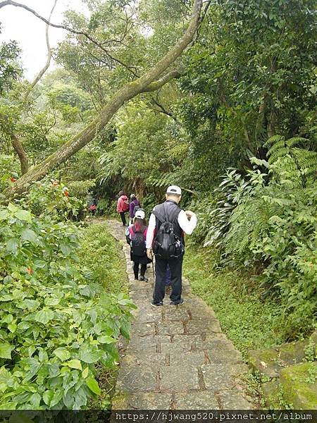 麗山橋步道