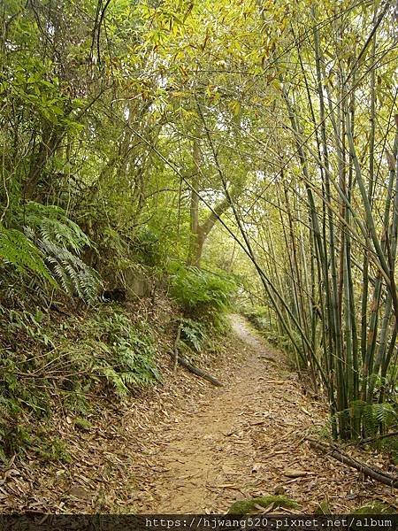 麗山橋步道