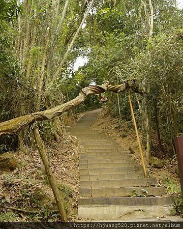 藤坪步道