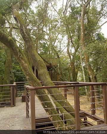 藤坪步道