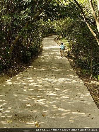 劍潭山步道