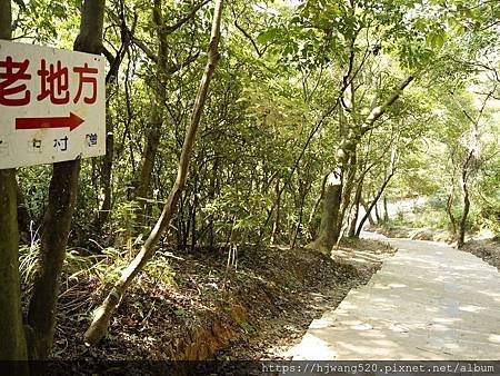 劍潭山步道