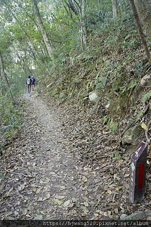 唐麻丹山